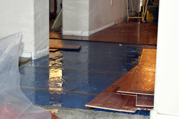 Professional Basement Water Removal technician working in Hull, TX